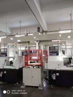 GT-30L Gantry Loader 